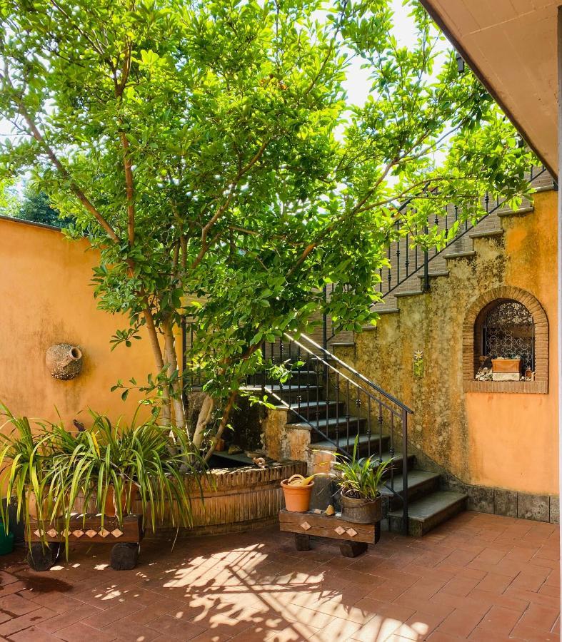 Villa Mariposa Nettuno Extérieur photo