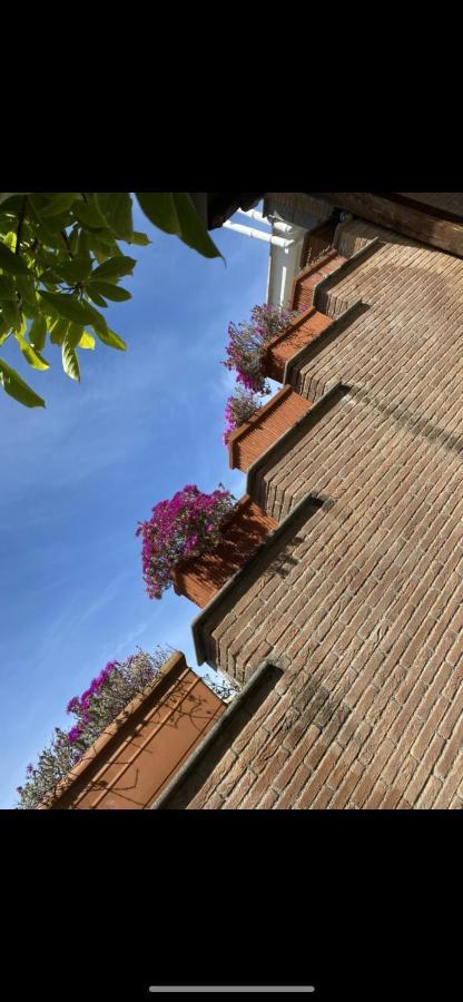 Villa Mariposa Nettuno Extérieur photo
