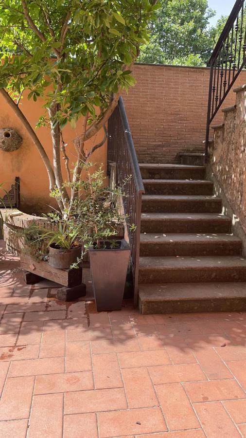 Villa Mariposa Nettuno Extérieur photo